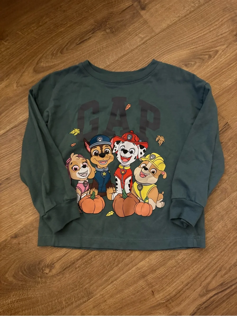GAP Kids Green Paw Patrol Graphic Long-Sleeve Tee (Size 4T)